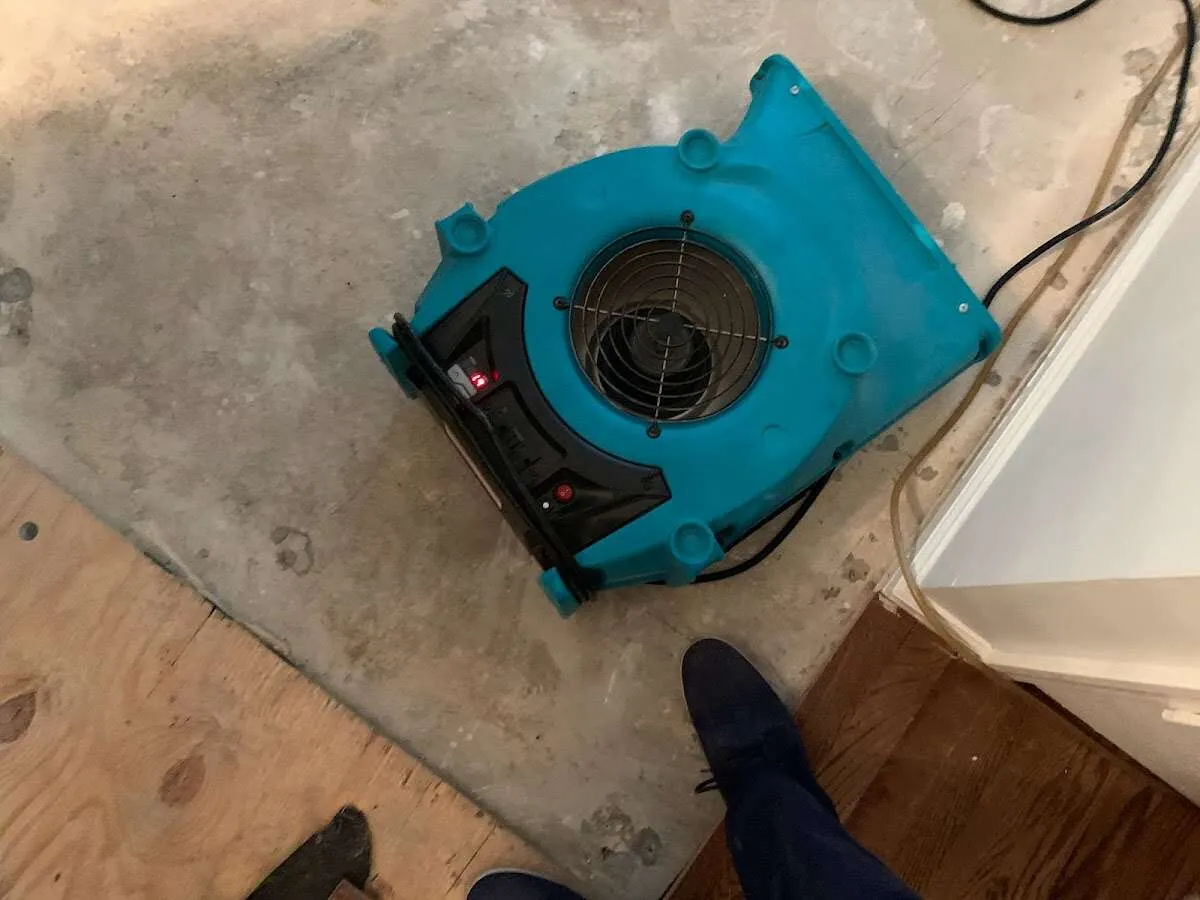 Air mover drying subfloor during Leak Detection & Repair in Albertville